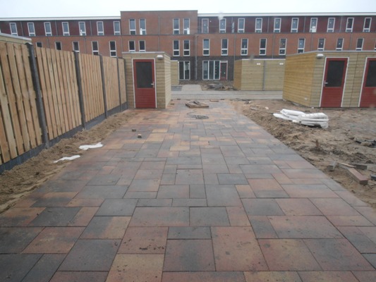 Gratema - Onze tuin (12 maart 2012)